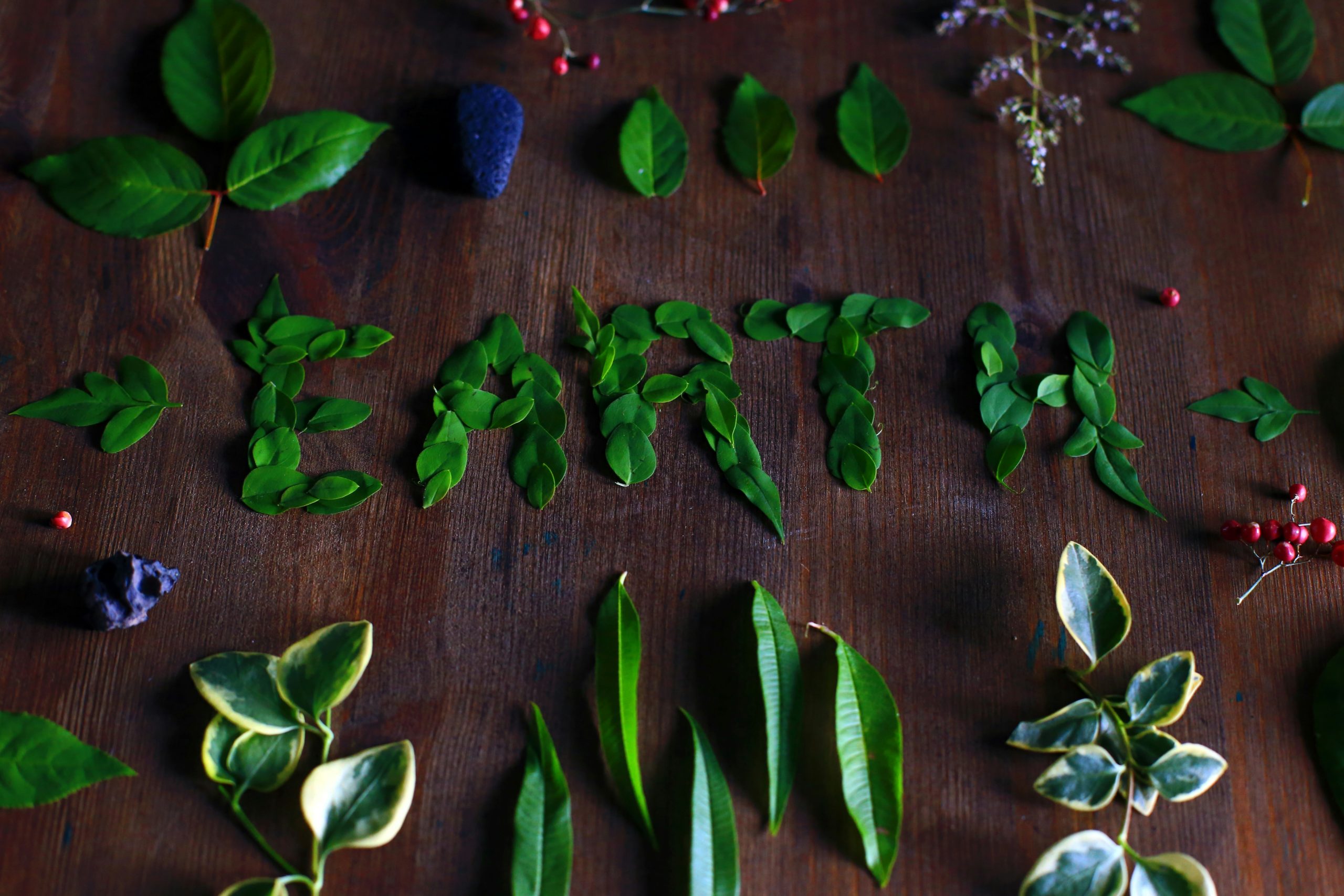Produse Eco-Friendly pentru Scris: O Alegere Sustenabilă